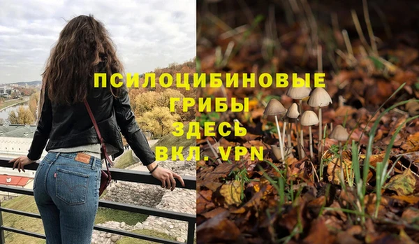 прущая мука Белоозёрский