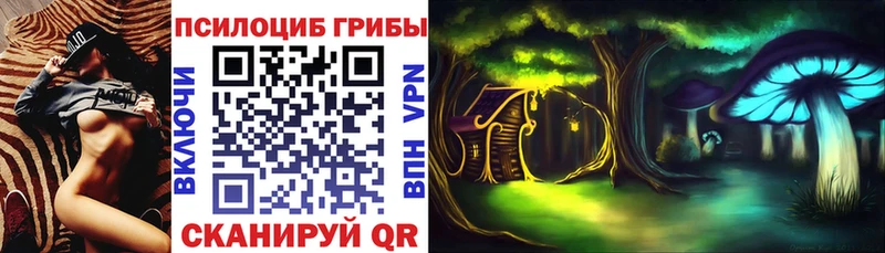 ссылка на мегу рабочий сайт  что такое   Воскресенск  Псилоцибиновые грибы Cubensis 